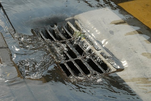 Екатеринбургу обещают холодный и мокрый июнь