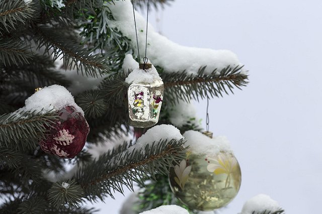 Главную ёлку Екатеринбурга доставили на площадь 1905 года