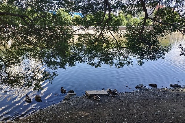 МЧС: Дымка в Екатеринбурге появилась из-за слабого ветра и высокой влажности