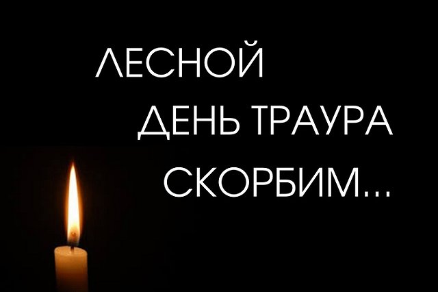 По делу о ДТП с 7 погибшими в Лесном задержаны еще двое подозреваемых