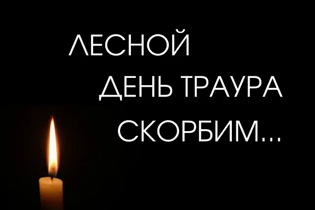 По делу о ДТП с 7 погибшими в Лесном задержаны еще двое подозреваемых