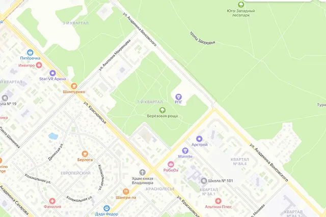 Стало известно, кто и зачем вырубает деревья в Берёзовой роще Академического