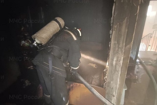 В пожаре на Синих Камнях погибла пенсионерка и ее кот