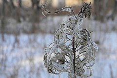 Предстоящая зима будет с отклонениями в теплую сторону