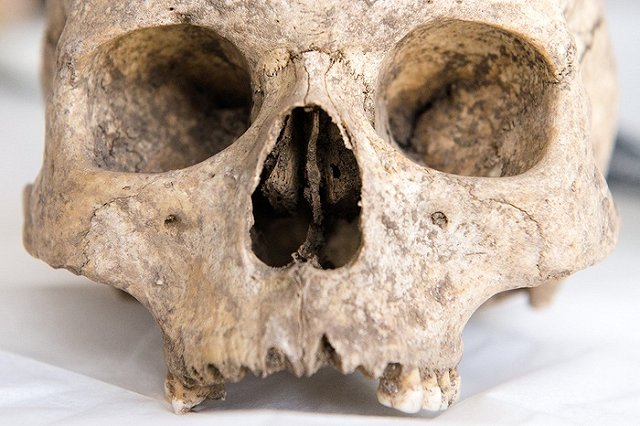 В кювете на трассе Екатеринбург — Курган нашли человеческие кости