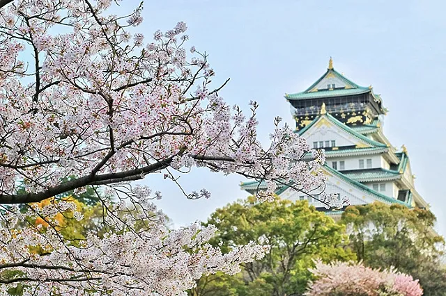 Россия и Япония обсуждают возобновление прямых авиарейсов