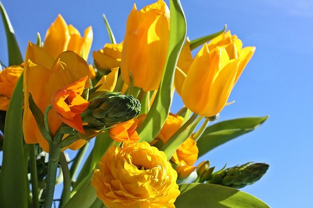 8 Марта Международный женский день