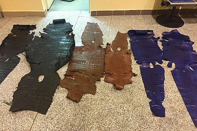 Крокодиловая и змеиная кожа под видом ковриков для йоги