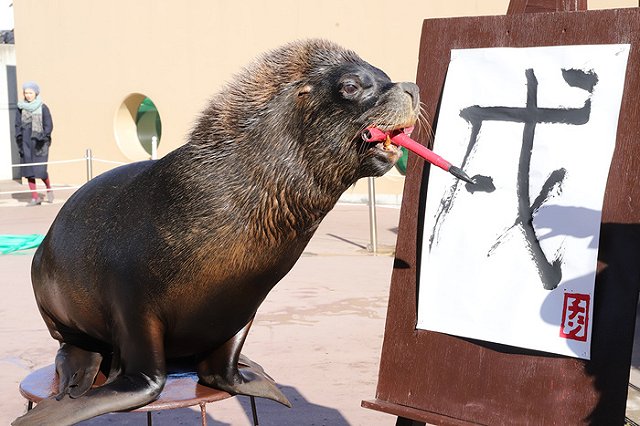Девушка с татуировкой про суп повеселила своего соседа в самолете