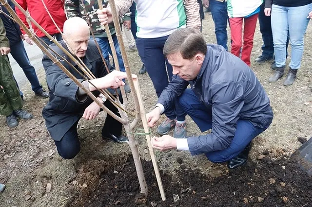 Политологи оценили слухи об отставке свердловского губернатора