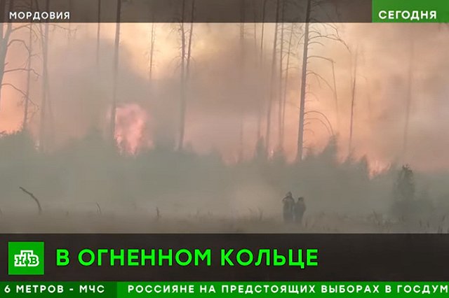 Более полусотни пожарных попали в огневое кольцо при тушении мордовского заповедника
