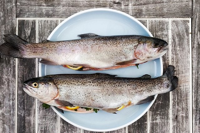 В больнице Екатеринбурга пациентам предложили на обед рыбу с червями