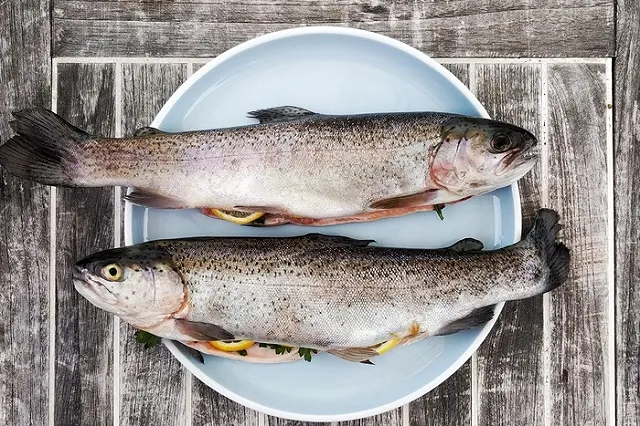 В больнице Екатеринбурга пациентам предложили на обед рыбу с червями