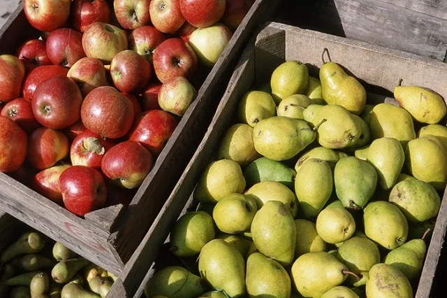 На Урале смешали с землей 20 тонн польских яблок и подозрительных груш