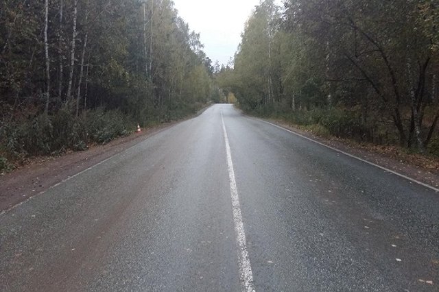 Водитель сбил пешехода на улице Адмирала Ушакова и скрылся с места ДТП