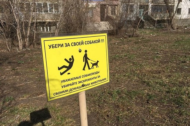 Соседи решили «выдавить» собачников с площадки для выгула, ими же оборудованной