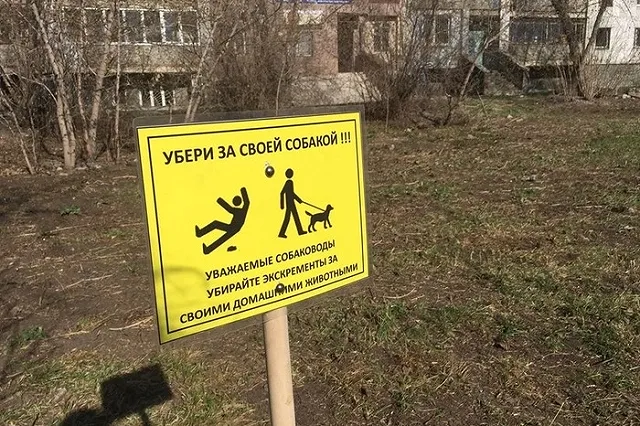 Соседи решили «выдавить» собачников с площадки для выгула, ими же оборудованной