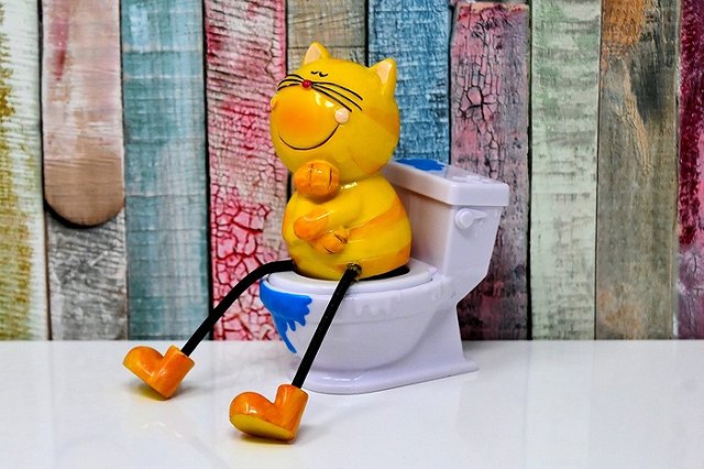 Во всём мире сегодня отмечается День туалета