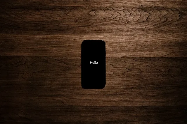 Политолог: Россия рискует превратиться в цифровой концлагерь