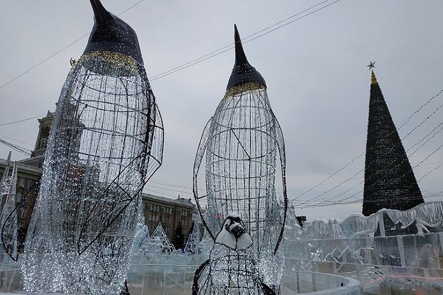 Живую ель установят на площади 1905 года в Екатеринбурге впервые за последние годы