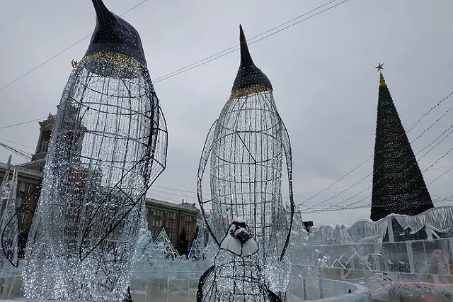 Живую ель установят на площади 1905 года в Екатеринбурге впервые за последние годы