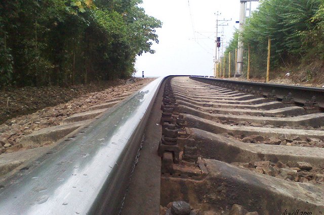 Заблокированные под Сочи пассажиры — РЖД: «Даже собака не стала это есть»