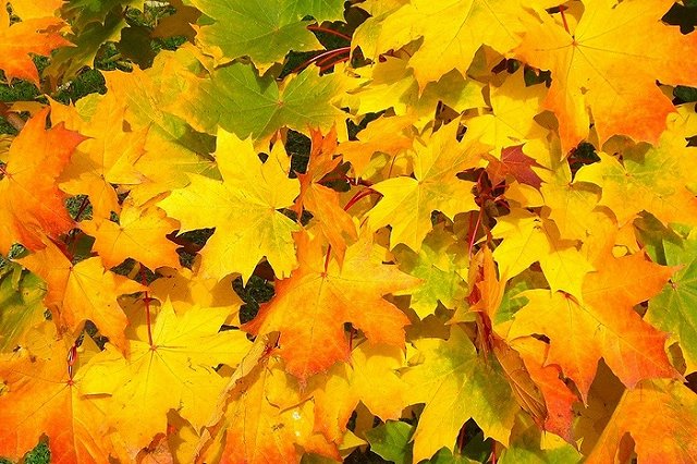 Какие законы вступают в силу с 1 сентября