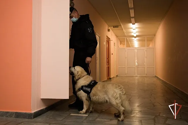 Росгвардия начала в преддверии выборов проверки владельцев оружия