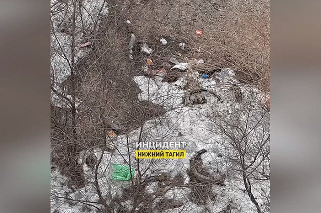 Свердловская семья превратила жизнь соседей в ад