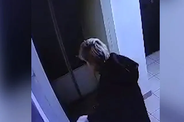 Екатеринбуржцы заявили в полицию на соседку, которая сорвала плакат в честь Дня Победы