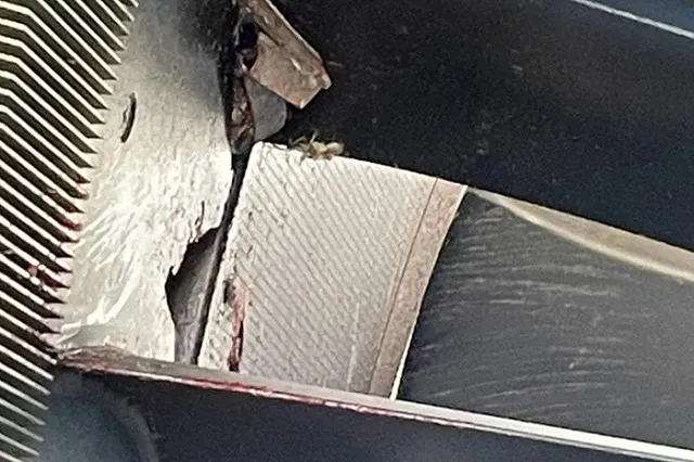 Птицы вывели из строя двигатель самолёта «Уральских авиалиний» во время полёта