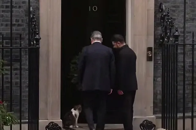 Куклачев пояснил, почему главный мышелов Британии избегает Зеленского