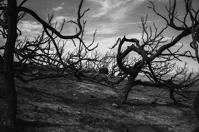 Ученые определили самый худший год в истории человечества