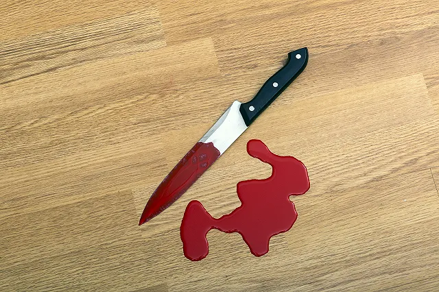 Убийство в семье хоккеиста: сын экс-вратаря сборной России убил мать