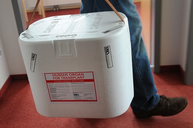 В России могут ввести презумпцию согласия на посмертное донорство. Зачем это нужно?