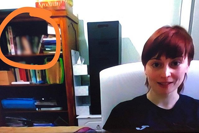 Во время прямой трансляции на BBC зрители разглядели на полке с книгами фаллоимитатор