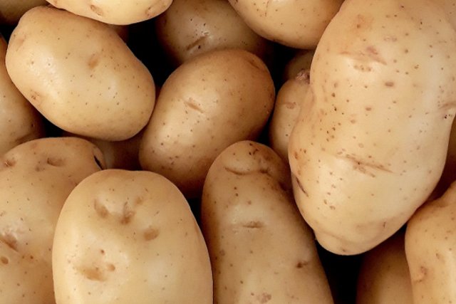 В Госдуме предложили продлить майские праздники до десяти дней