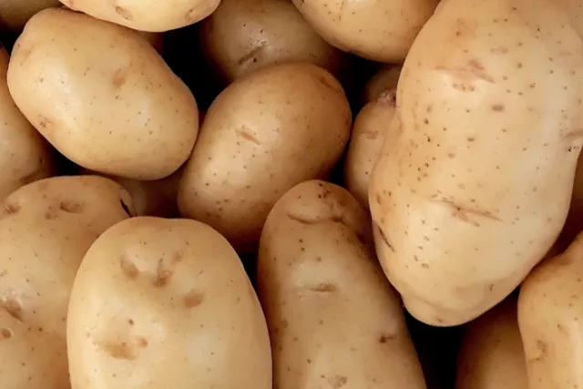 В Госдуме предложили продлить майские праздники до десяти дней