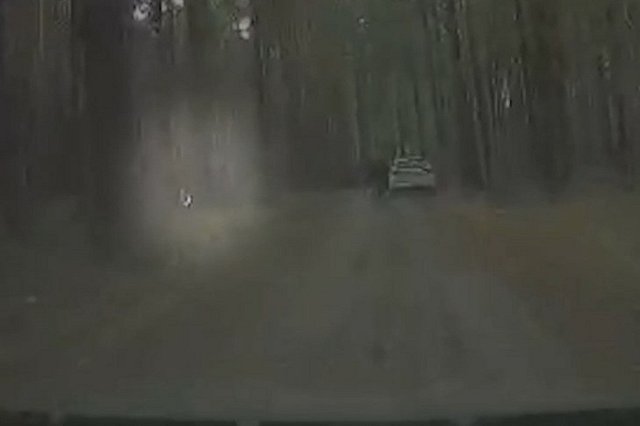 Под Екатеринбургом поймали поджигателя, пытавшегося устроить лесной пожар