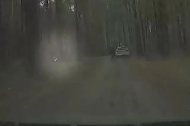 Под Екатеринбургом поймали поджигателя, пытавшегося устроить лесной пожар