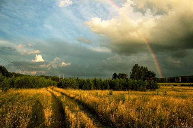 Синоптики ждут лета, полного катаклизмов