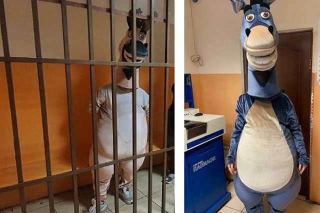 Полиция Сочи задержала «зебру» и «коня», пристававших к туристам