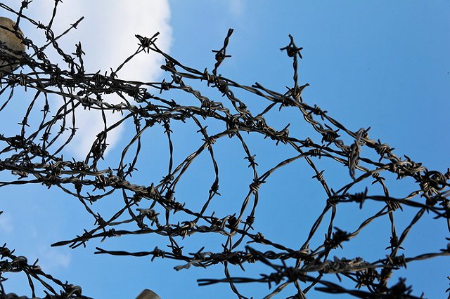 Дадина обследуют в колонии независимые врачи