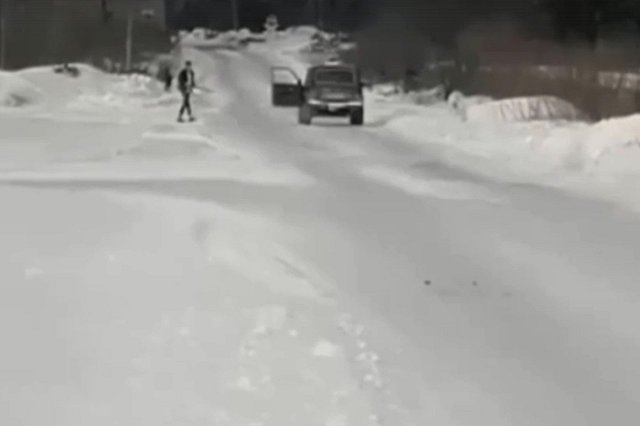 В Алапаевске мужчина расстрелял собаку — видео