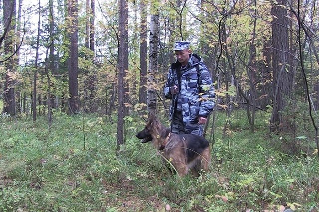 Под Екатеринбургом пропал мужчина