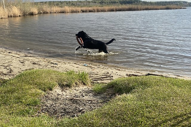 В Свердловской области запретили купаться в водоёмах