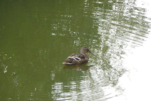 В Екатеринбурге потеплеет на два дня