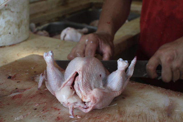 Уральские птицефабрики зарабатывают на воде