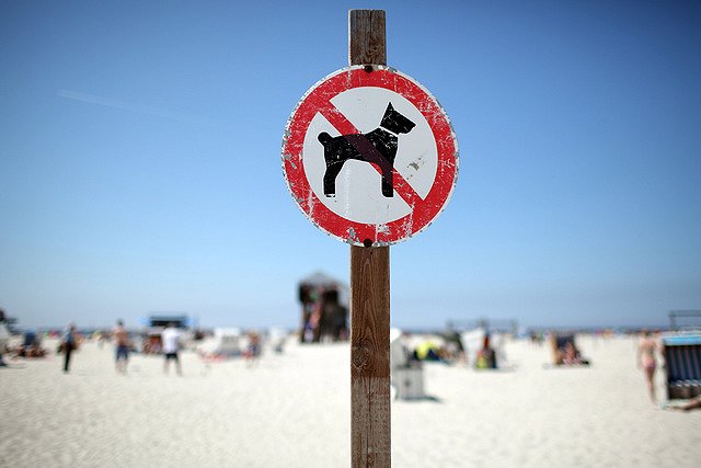 В Свердловской области устанавливают знаки международной туристической навигации