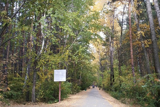 Велопешедорожка, тематические парки, парковки — что построят на Шарташе